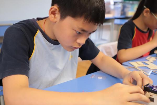 Stem Day